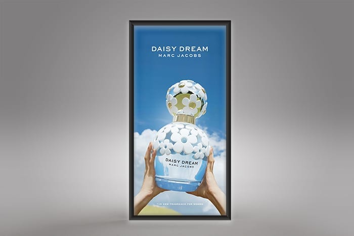 Backlit Daisy Dream